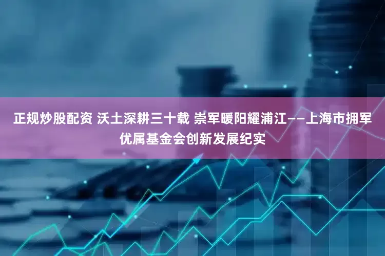 正规炒股配资 沃土深耕三十载 崇军暖阳耀浦江——上海市拥军优属基金会创新发展纪实