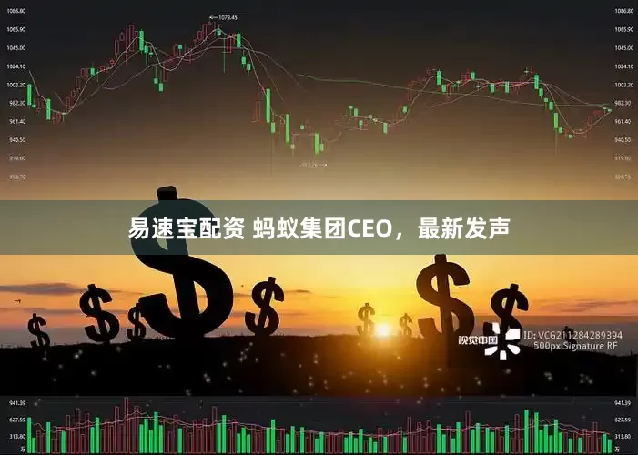 易速宝配资 蚂蚁集团CEO，最新发声